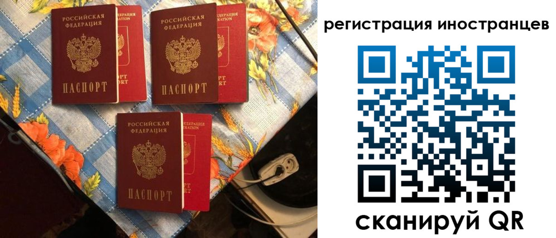 прописка поиск в Шелехове